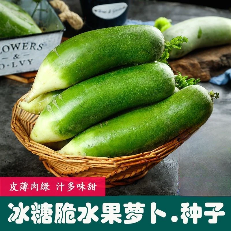 【冰糖脆水果萝卜种子】家庭阳台小院盆栽地栽四季种植