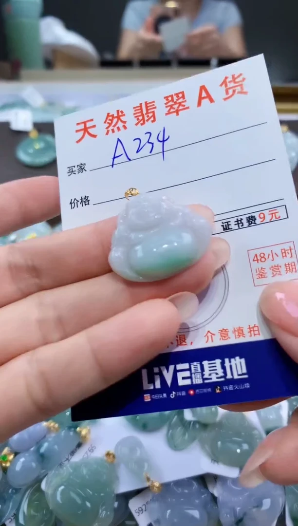 颈饰未镶嵌翡翠天然翡翠A货挂件
