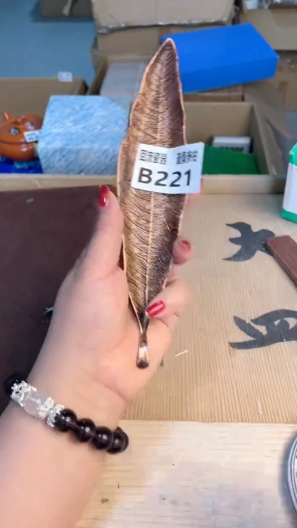 瓷片闪购闪购闪购闪购