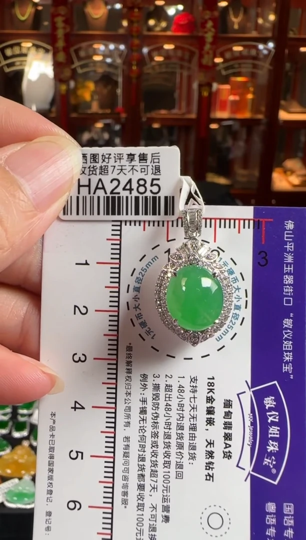 颈饰18K金镶嵌翡翠HA2485冰绿蛋面