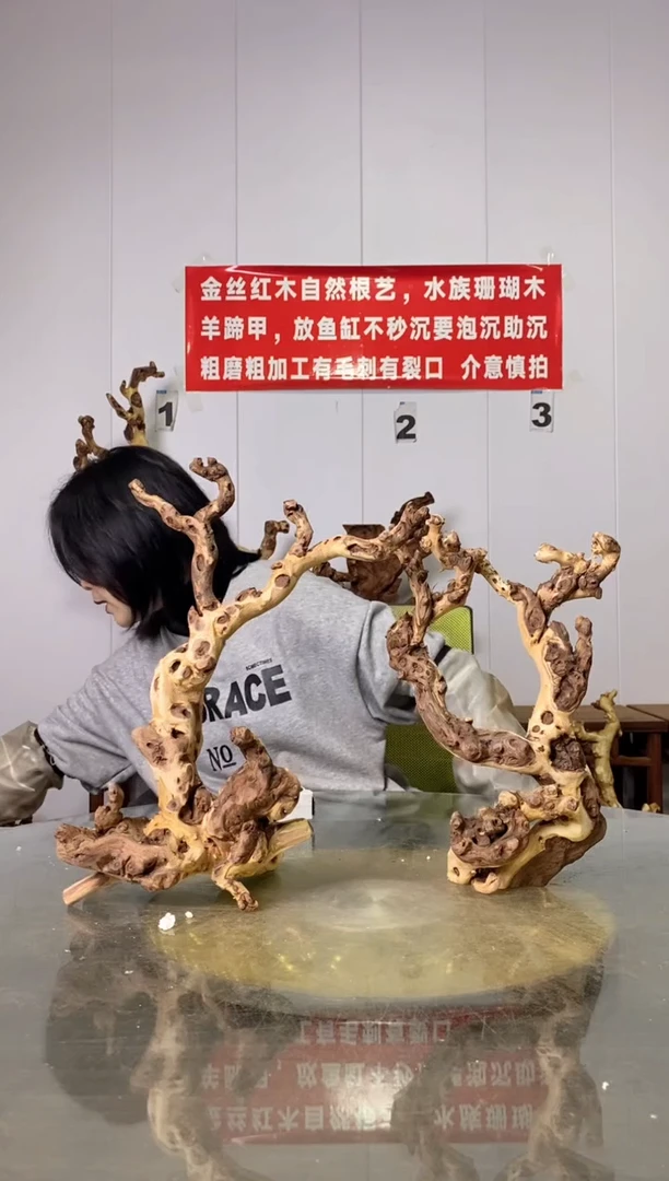 【闪购商品】香榧木50金丝红木 羊蹄甲 2