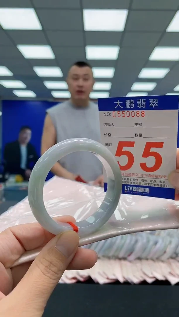 未镶嵌手镯翡翠AAAAAAAAA