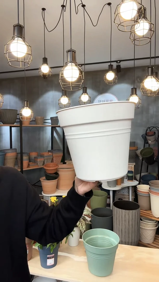 【闪购商品】塑料霍伦标准260米白色10只无托