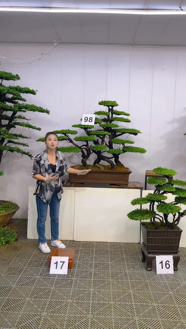 无花朵一物一拍一物一拍