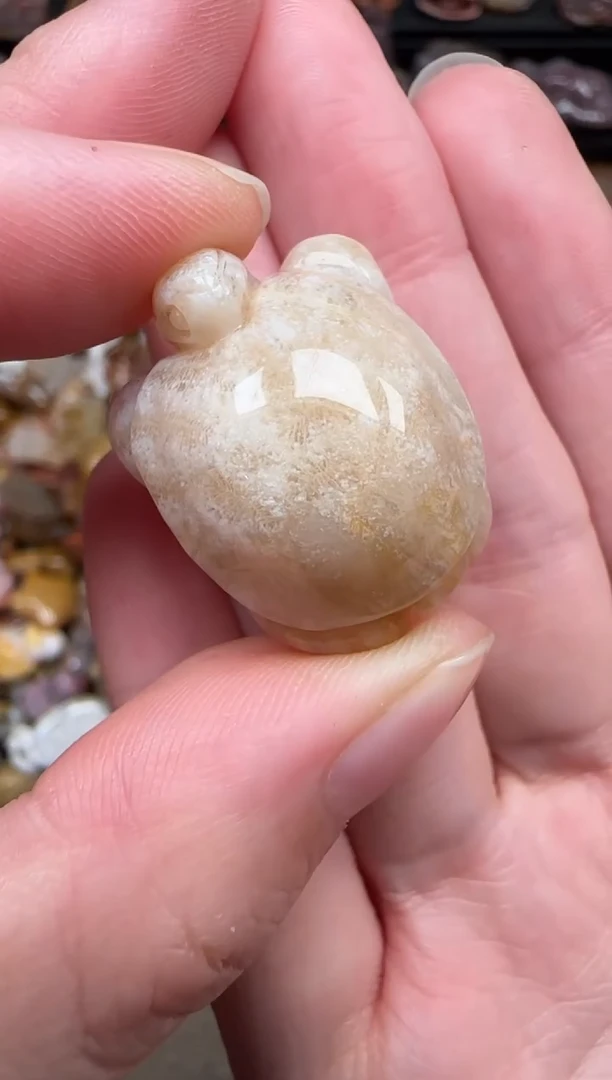 颈饰未镶嵌硅化珊瑚（珊瑚玉）763