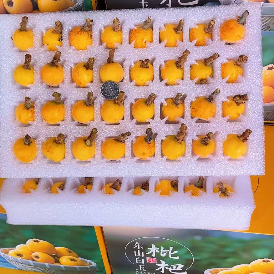 【买一箱送一箱】 苏州东山白玉枇杷树熟果应季水果枇杷礼盒装3-6斤新鲜
