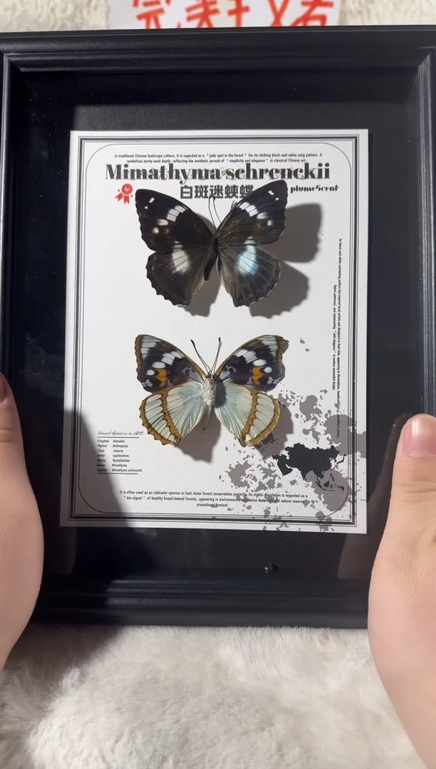 人造板白斑迷双生