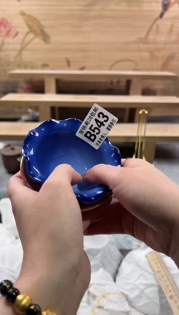 【闪购商品】瓷片当天满28米包邮B543