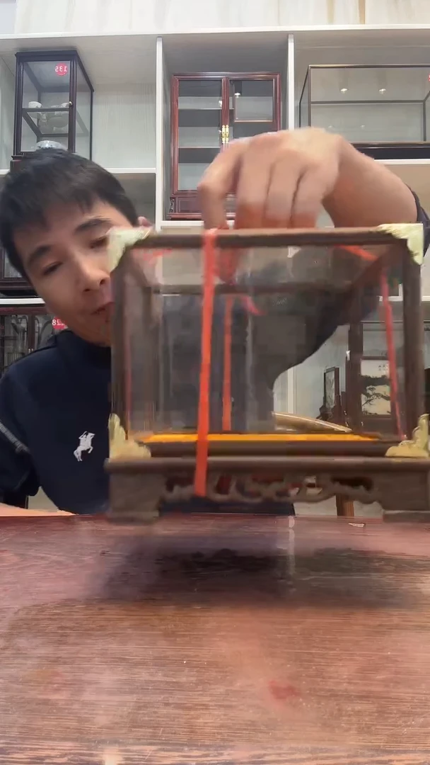 鸡翅木孤品玻璃罩378