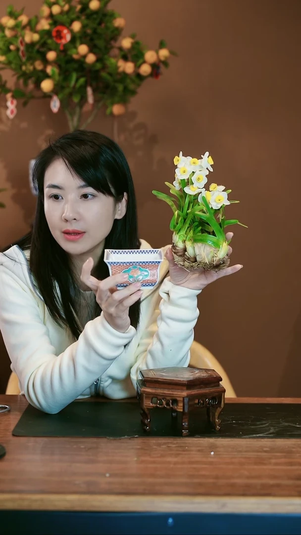 【闪购商品】盆景雕刻水仙