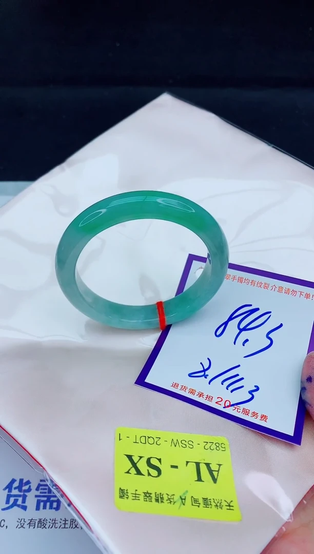 未镶嵌手镯翡翠11111111111