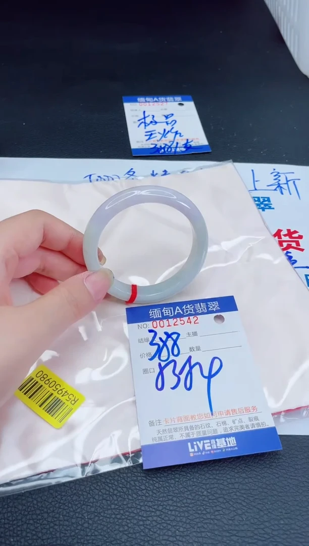 未镶嵌手镯翡翠我t1
