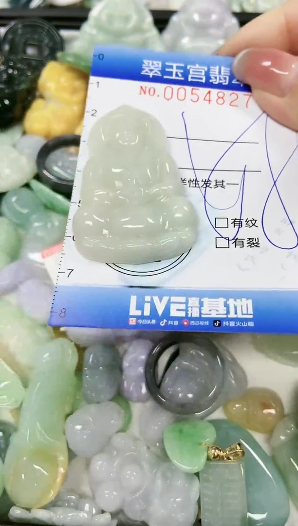 【闪购商品】翡翠颈饰未镶嵌闪购0054827