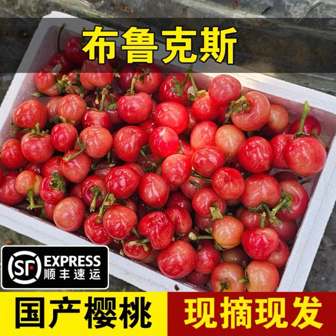 5斤装烟台冰糖脆黄金布鲁克斯大樱桃顺丰冷链【王大发专属】