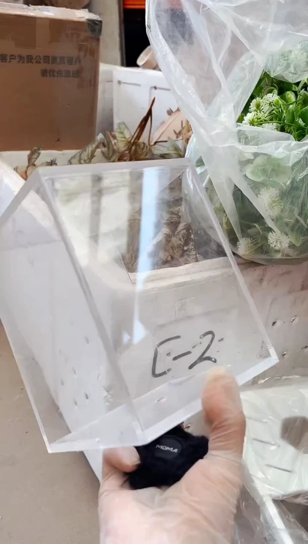 加厚微瑕划痕蜕皮桶单格