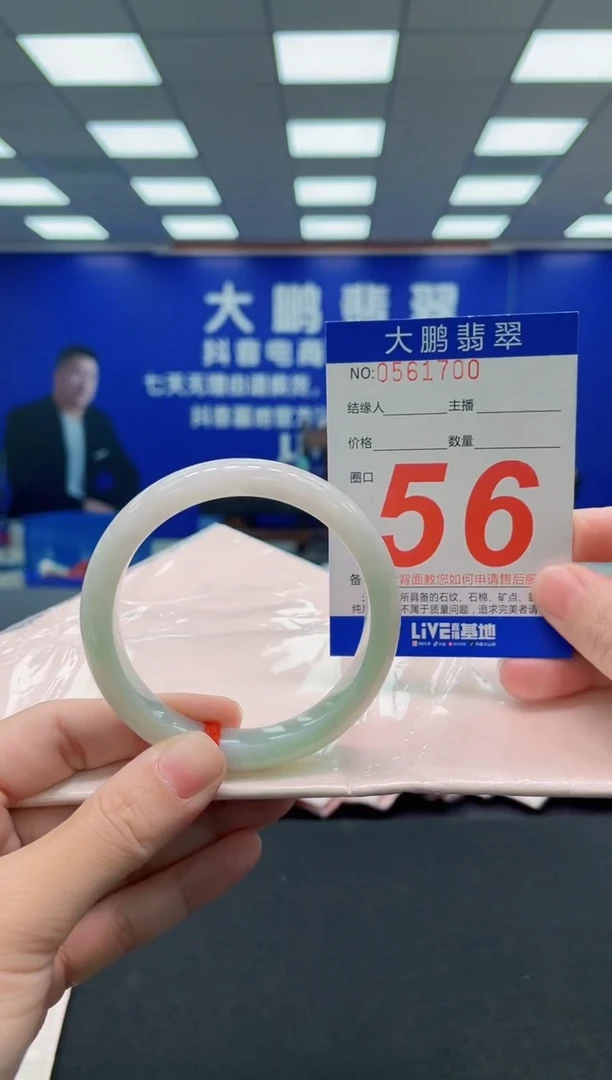 未镶嵌手镯翡翠 AAAAAAAAA