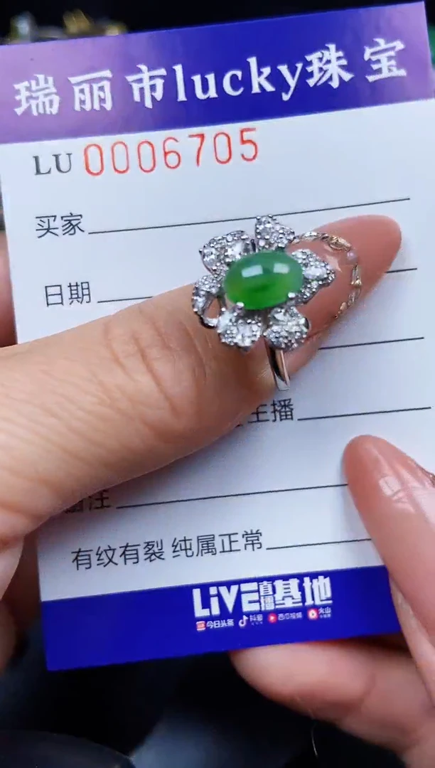 翡翠银S925镶嵌颈饰6705