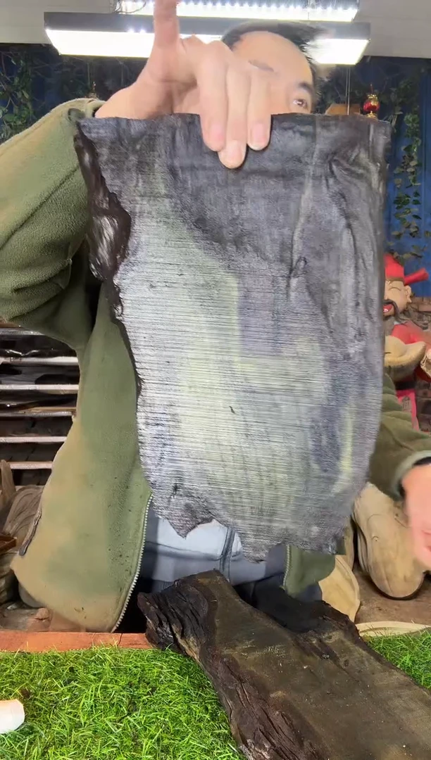 金丝楠1小叶桢楠108