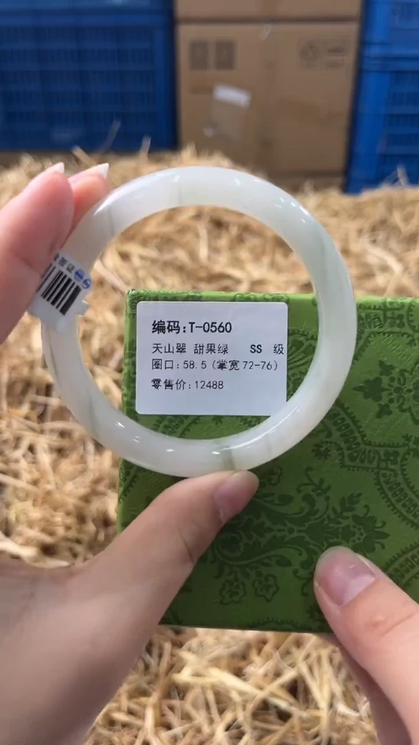 未镶嵌手镯石英质玉T-0560