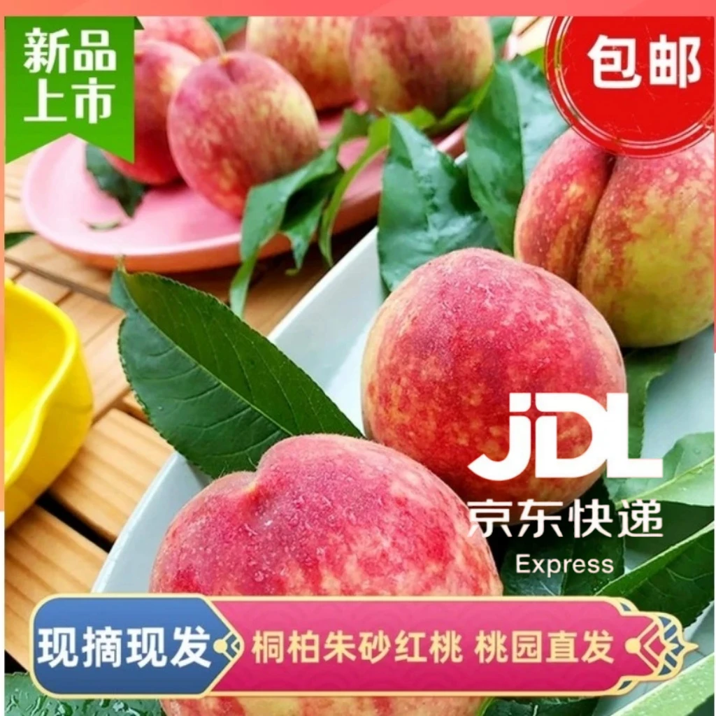 晚熟桐柏朱砂桃新鲜现摘现发血桃当季上市脆甜多汁正宗水果