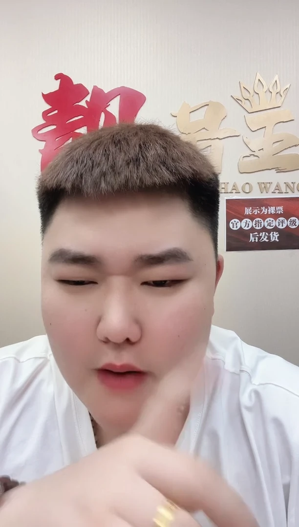 【闪购商品】塑料J00002开门蛇司令（4）-PMG68