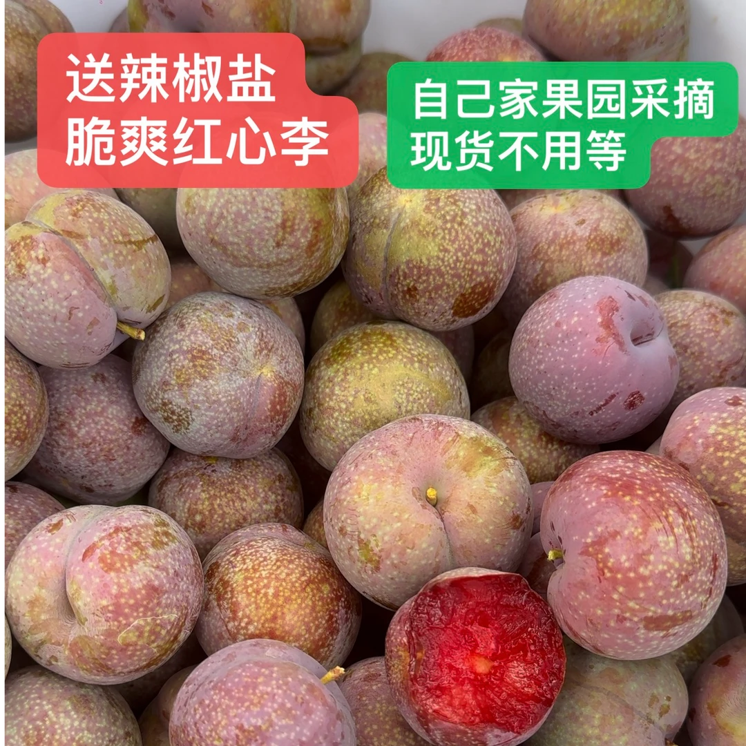 [当天采摘现货]正宗钱排红心三华李新鲜采摘酸甜脆口产地直发