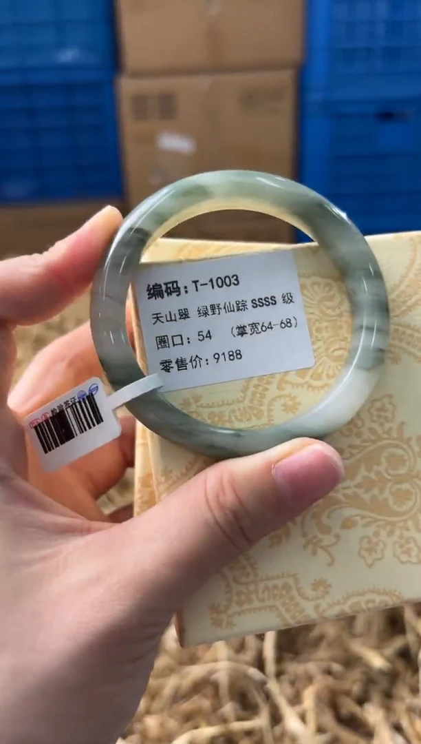 未镶嵌手镯石英质玉T-1003