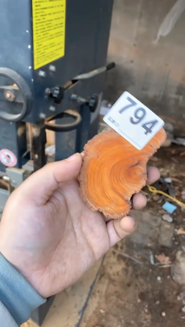 【闪购商品】柏木太行陈化崖柏切片