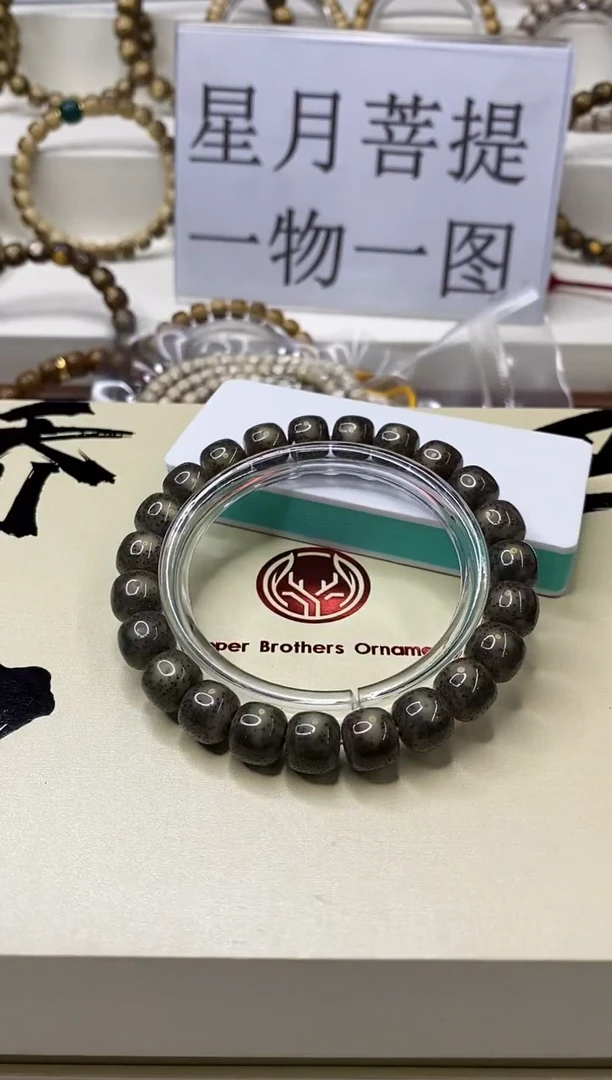手串星月菩提一物一图-W22-173