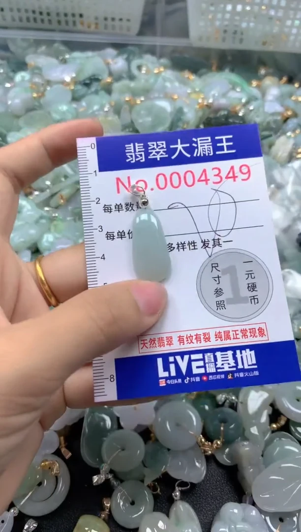 颈饰未镶嵌翡翠4349