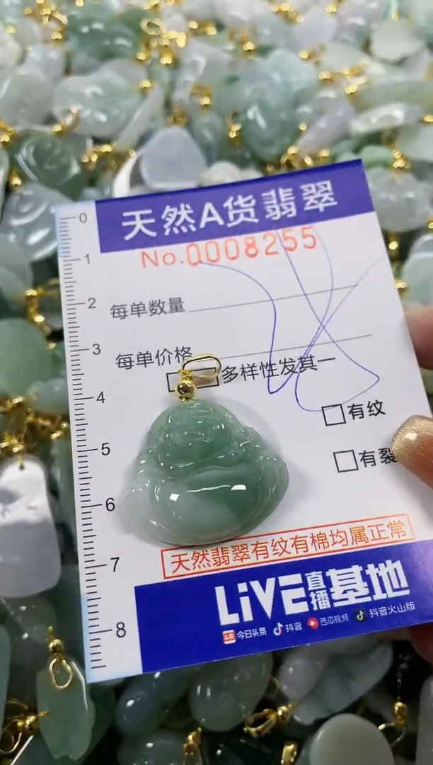 颈饰未镶嵌翡翠天然A货翡翠