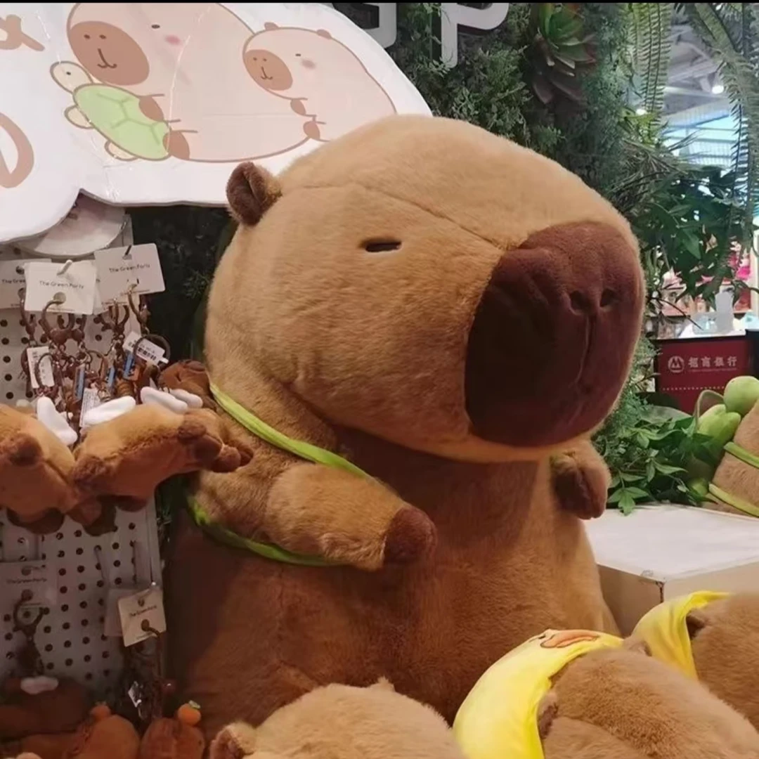 超萌卡皮巴拉乌龟毛绒玩具一个40cm 破损补发