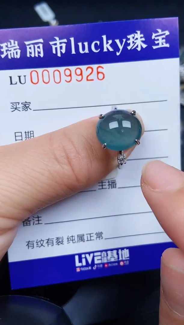 翡翠银S925镶嵌颈饰99206