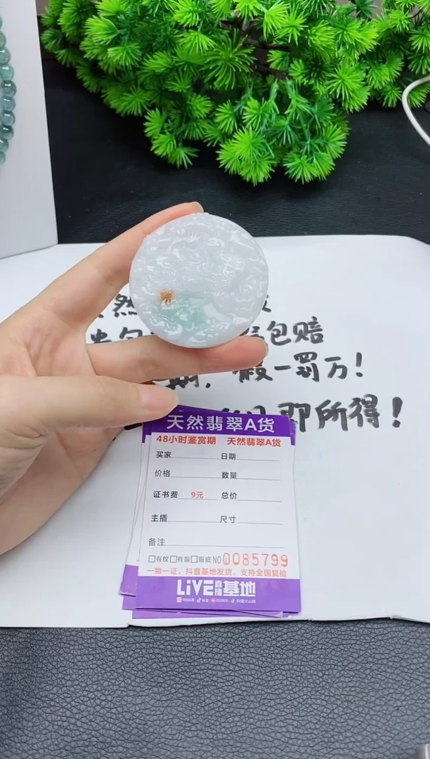 颈饰未镶嵌翡翠