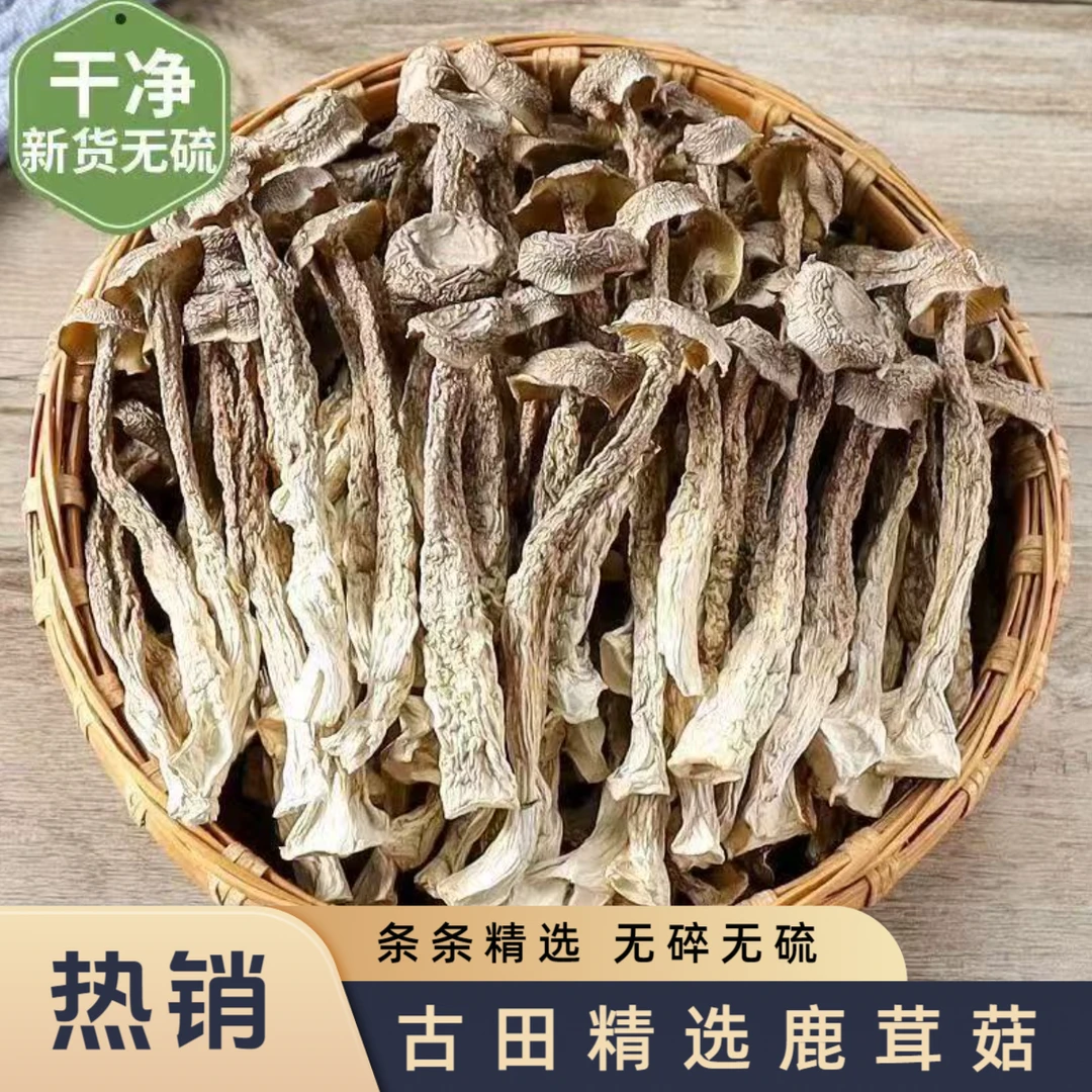 古田高山鹿茸菇500g头茬无硫精品菌菇农家干货炒肉煲汤新鲜脆脆菇