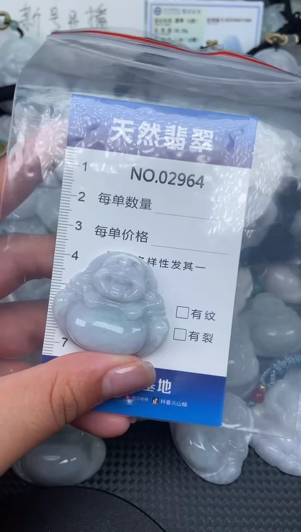 颈饰未镶嵌翡翠纯天然A货翡翠2964