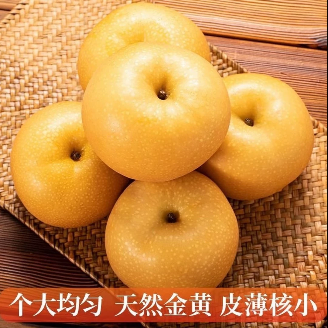 【精品大果】山东莱阳秋月梨当季新鲜采摘 整箱果王 中秋送礼
