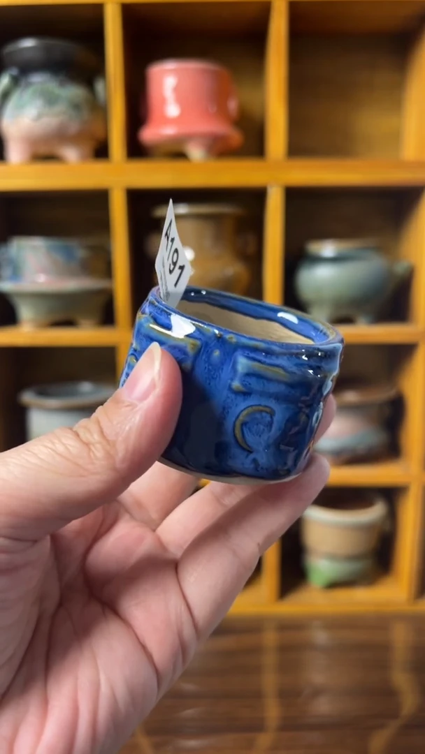 191 内口4.5【多肉花盆多肉盆】