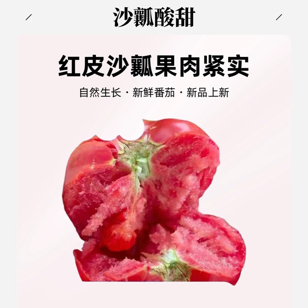 普罗旺斯水果西红柿新鲜自然成熟沙瓤多汁可生吃