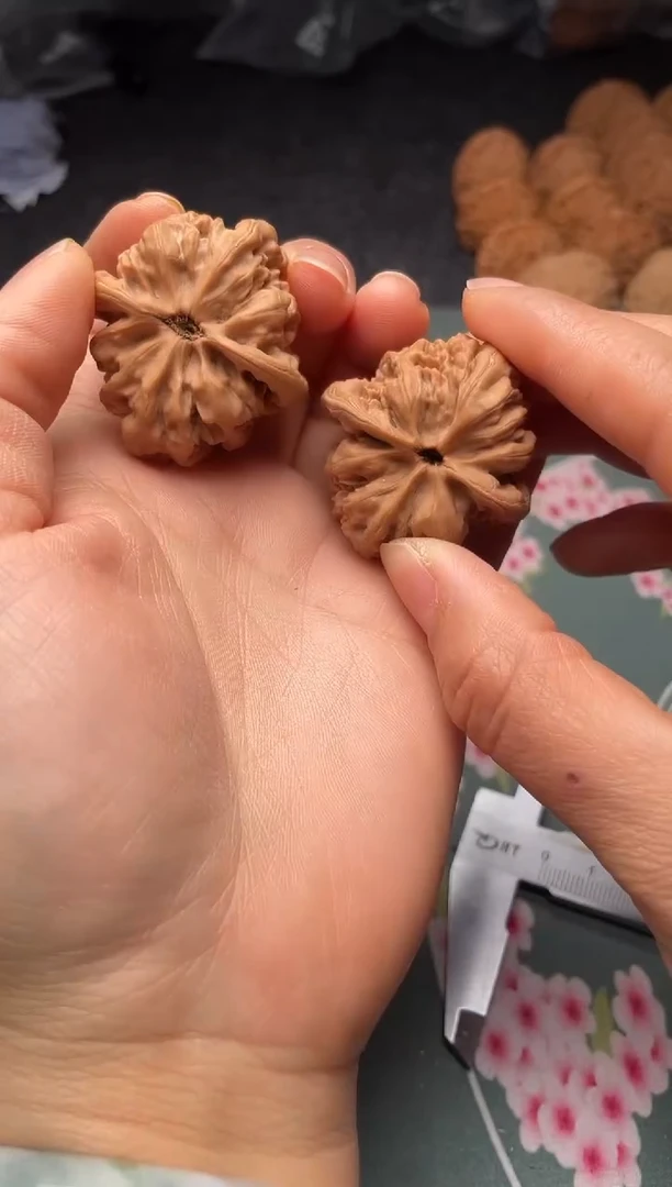 把件文玩核桃w124 九龙 37尺