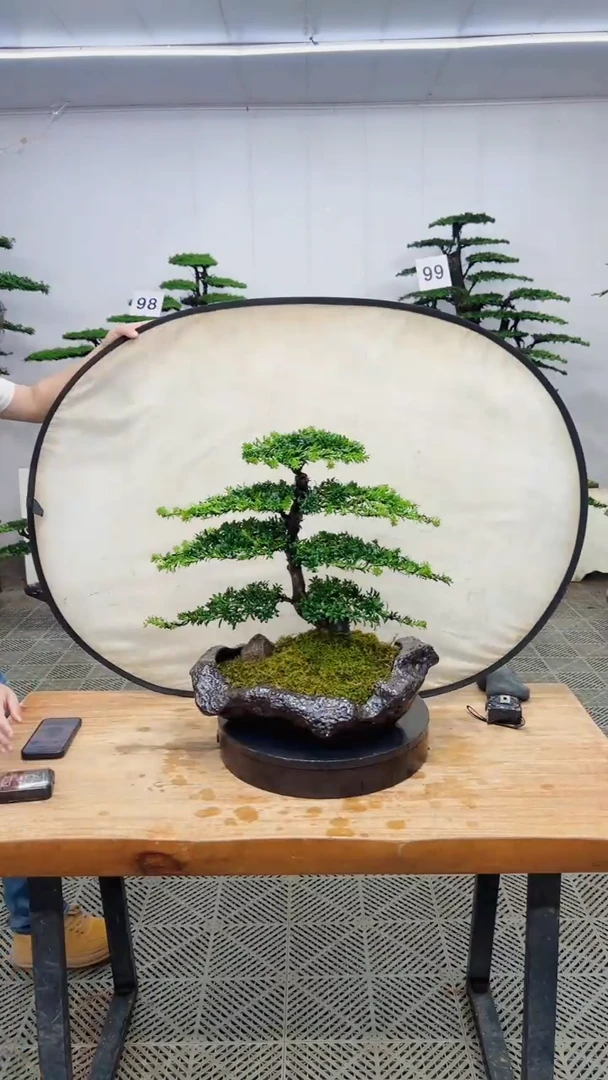 无花朵一物一拍一物一拍
