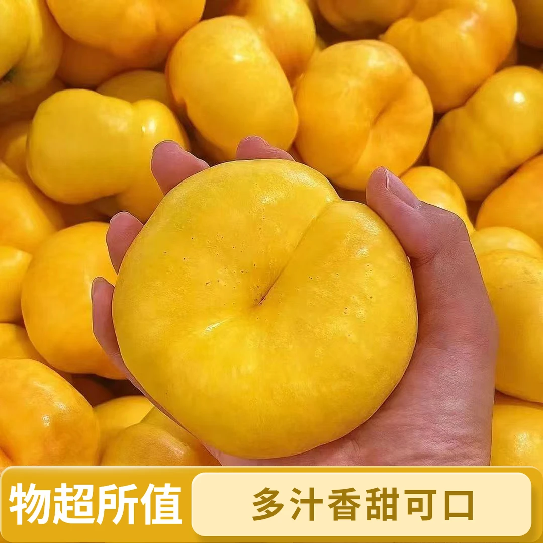 新鲜应季彩虹油蟠桃现摘夏日现发甜嫩多汁水果新鲜水果