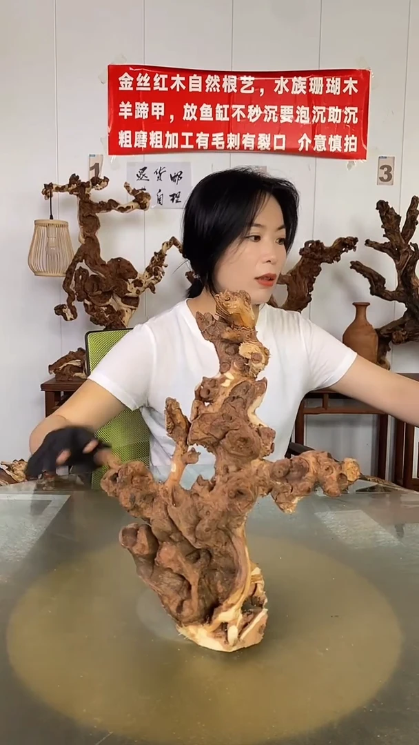 香榧木决*金丝红木 羊蹄甲