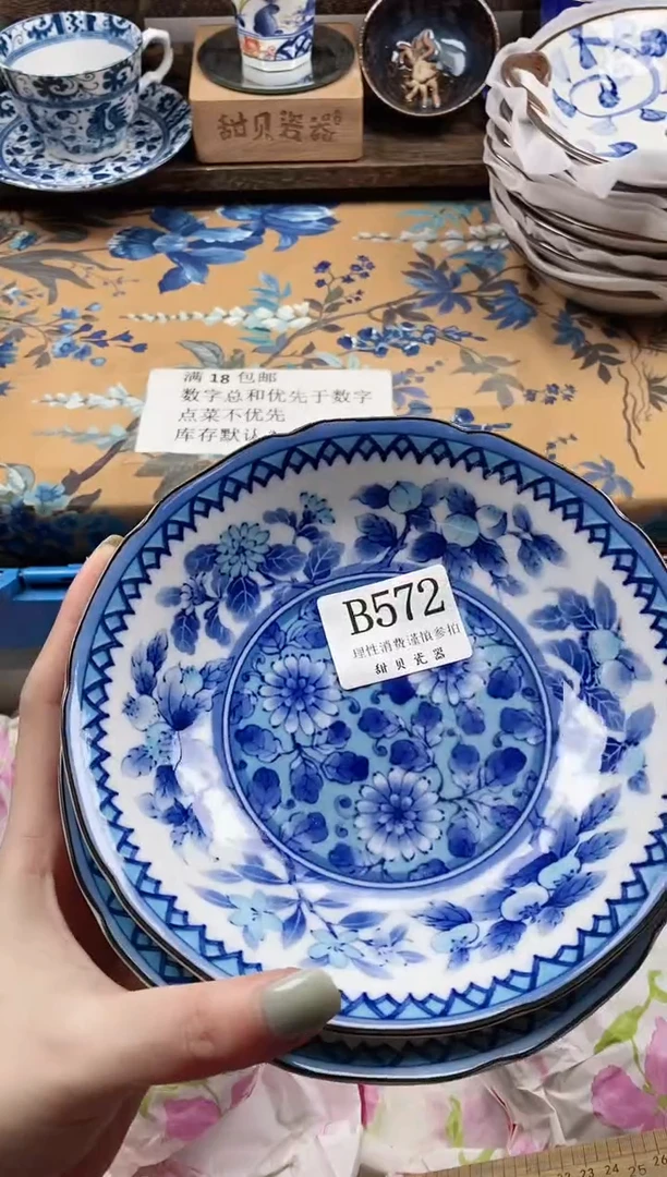 瓷片?*?                B572