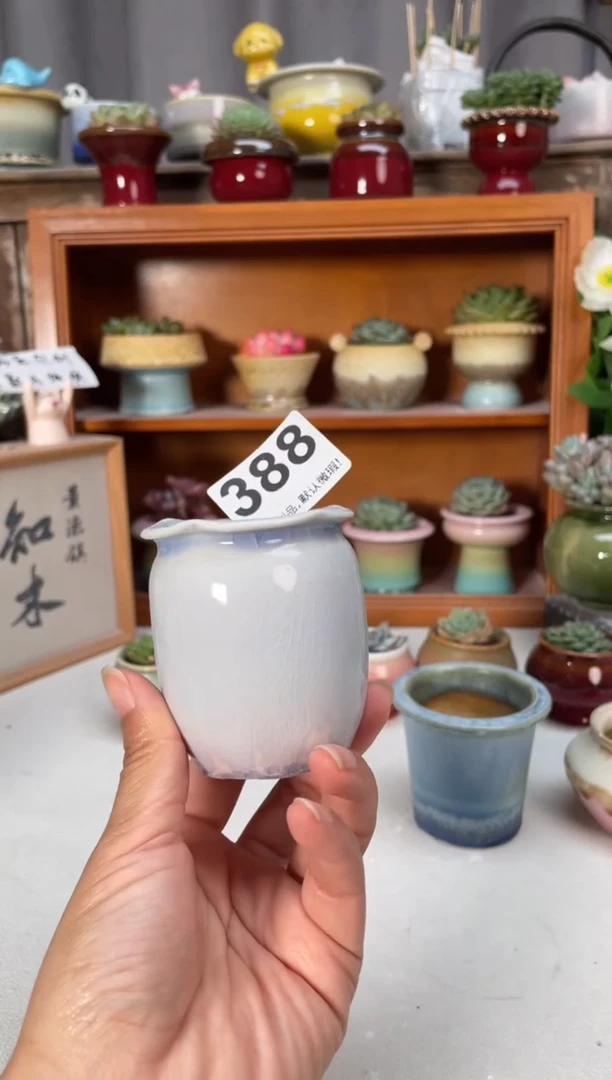 瓷片388福利知木小方花盆编号