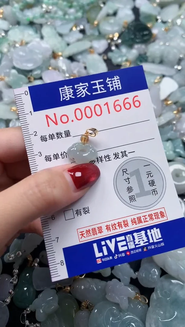 颈饰未镶嵌翡翠1666