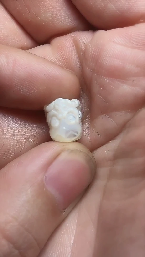 贝壳其他大鹏鸟顶珠