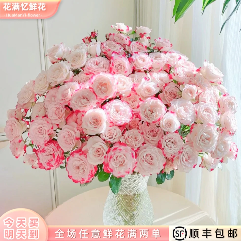 次日达 -【折射玫瑰】5枝多头玫瑰鲜花鲜切花家居优选批发任意两单升级顺丰包邮三单送随机花瓶今天拍明天到99