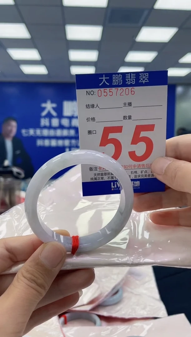 未镶嵌手镯翡翠 AAAAAAAAAA