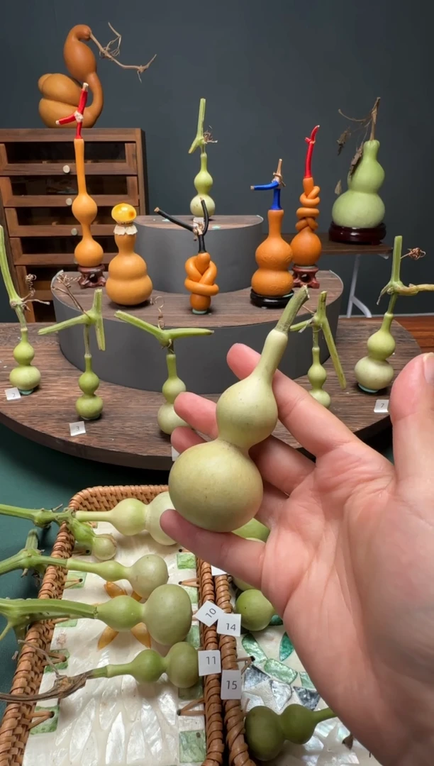 ?**凯文玩葫芦摆件手把件青皮天津嘴